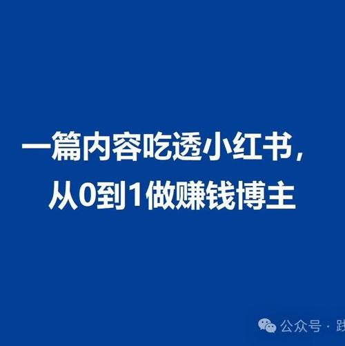 从0-1陪你做能赚钱的小红薯博主