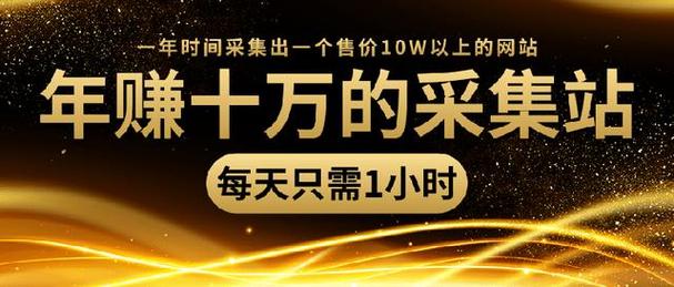 年赚十万的采集站，每天1小时，一年采