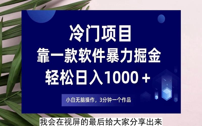 冷门项目，靠一款软件暴力掘金日入10