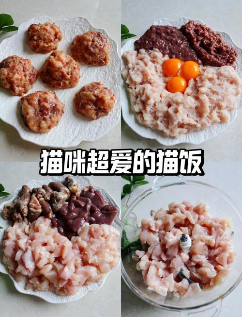 10分钟教你复刻爆款猫咪做饭(全流程