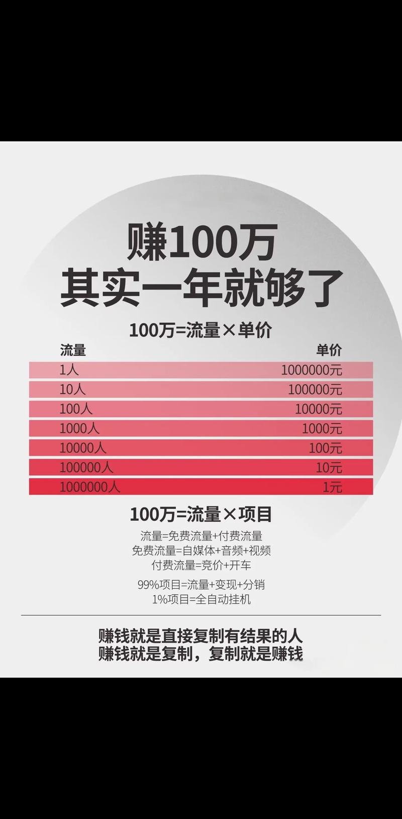 《年赚100万的虚拟项目打法》
