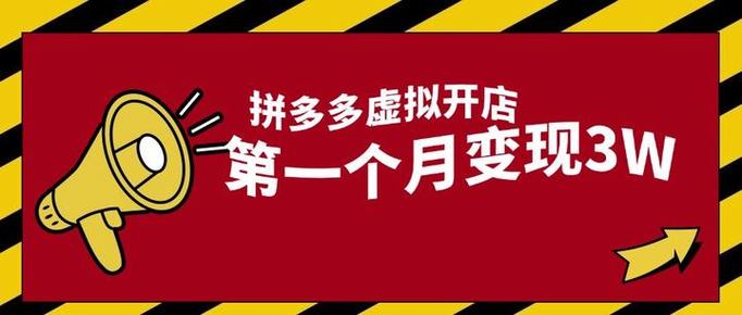 《拼多多虚拟电商2.0》