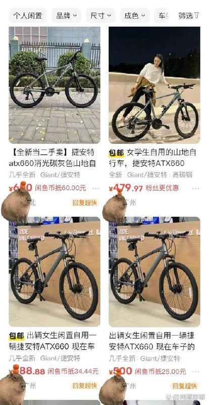 闲鱼卖自行车，日入2000+，202