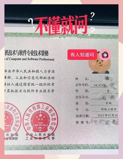 软考-希赛-2024年网络工程师(中