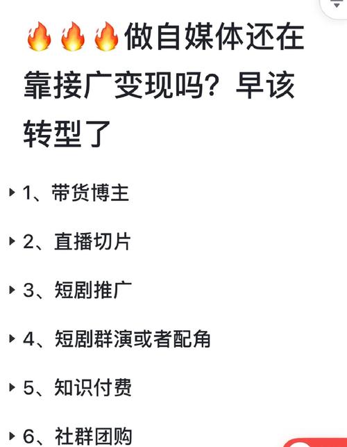 2024最火爆的项目短剧推广实操课