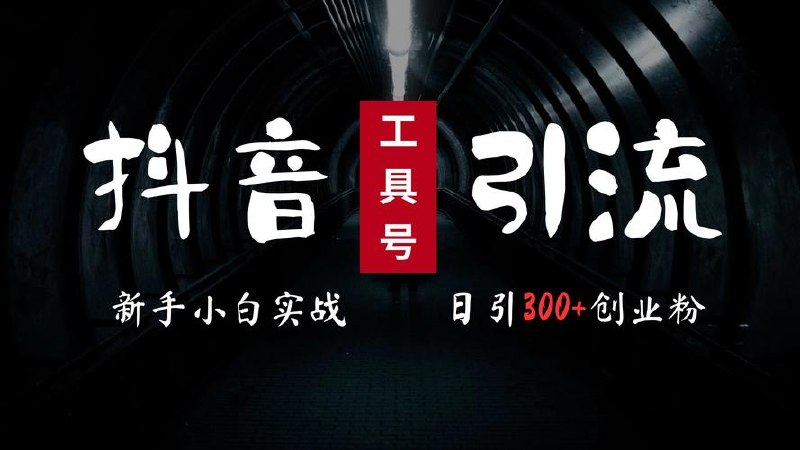 24年抖音最新工具号日引流300+创