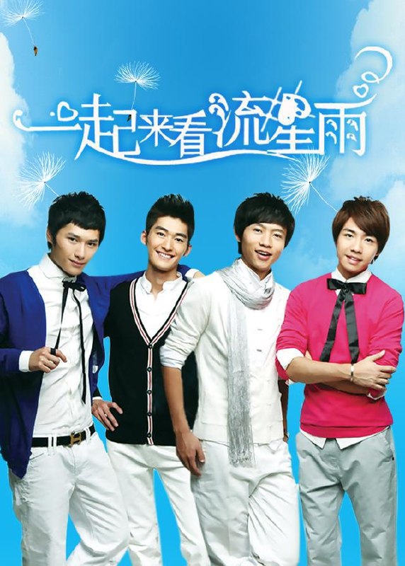 一起来看流星雨 全36集 国语中字 2009 1080P【国剧】