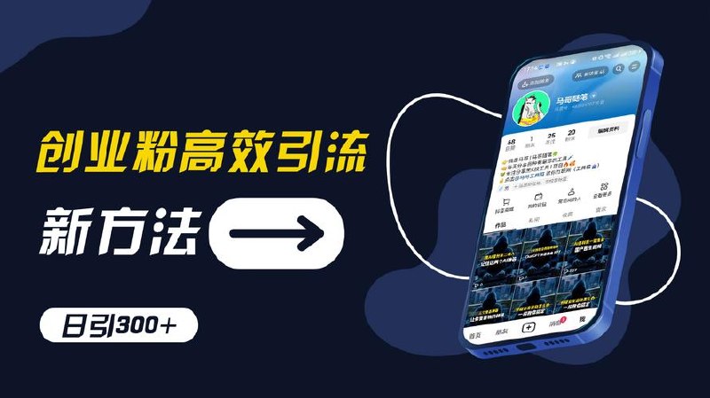 价值5980的0成本暴力引流玩法，日