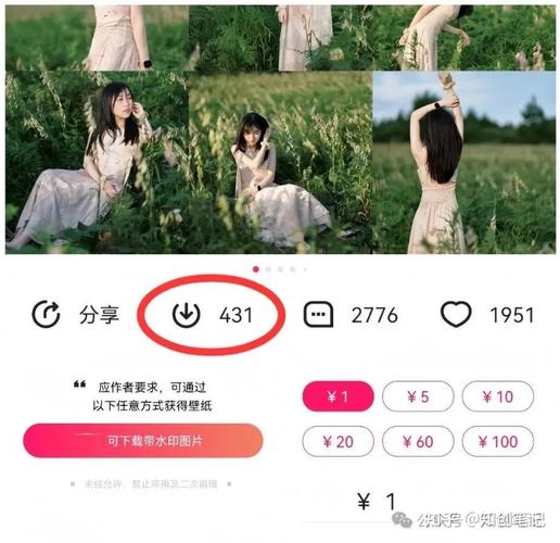 知乎新出的小项目，一个星期搞了600