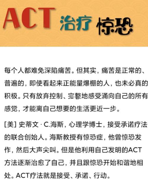 《ACT疗法实录与访谈》