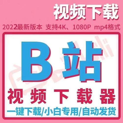 更新 哔哩哔哩B站视频批量下载器