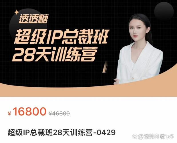 短视频IP打造训练营，轻松实现流量与