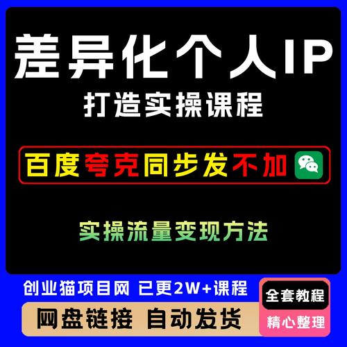 差异化个人IP打造实操课程，实操流量