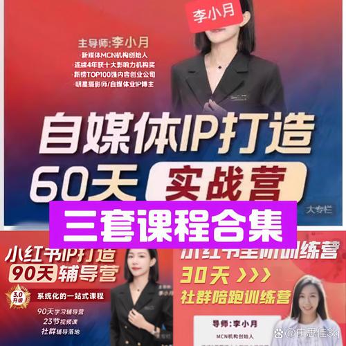 《小红书IP打造60天实战营11期》