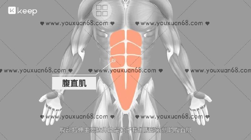 keep健身运动43套会员视频课程*