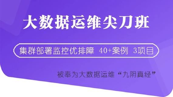 大讲台-大数据运维尖刀班 [完结]*