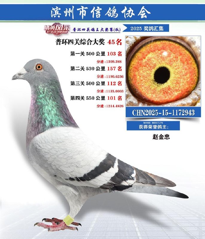 《同城房产号运营课》