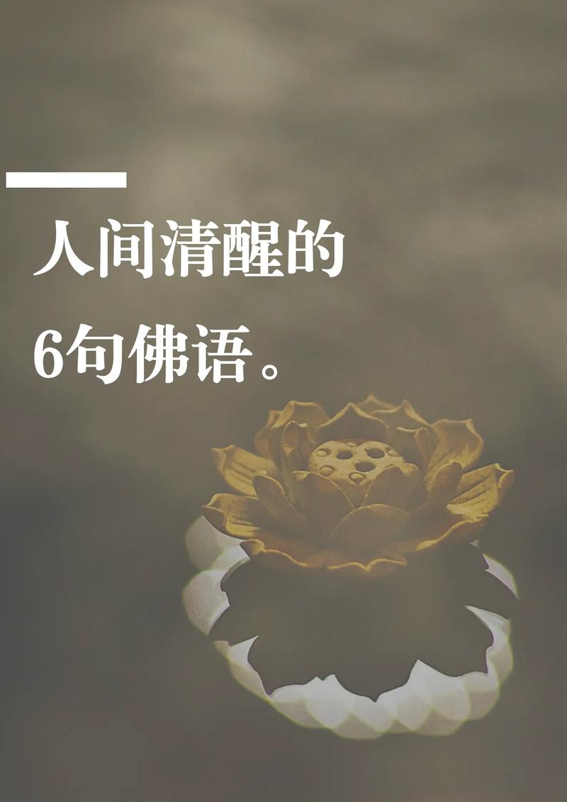 全平台佛学禅语，做原创短视频也能月入