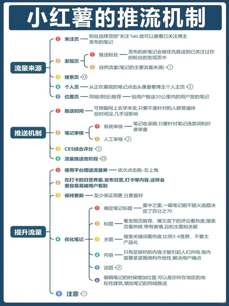 小红书训练营解锁流量密码，掌握推荐算