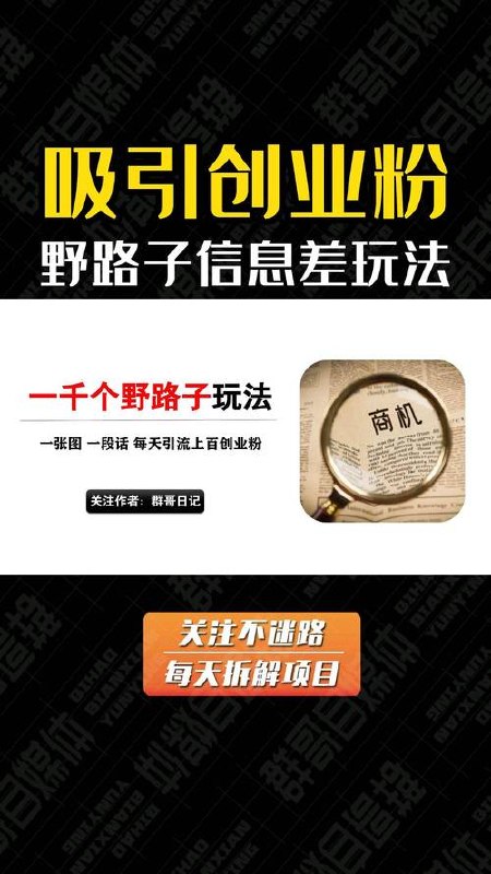 一千个野路子信息差，最新玩法教程，变