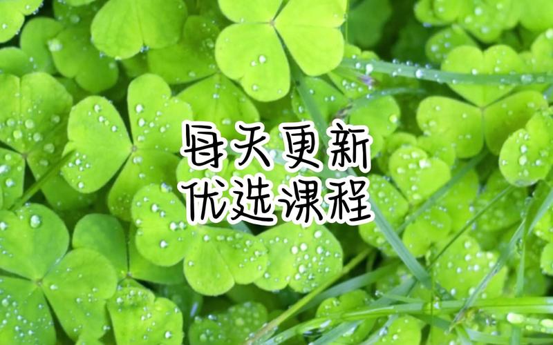 淘系可复制爆款打造能力提升班