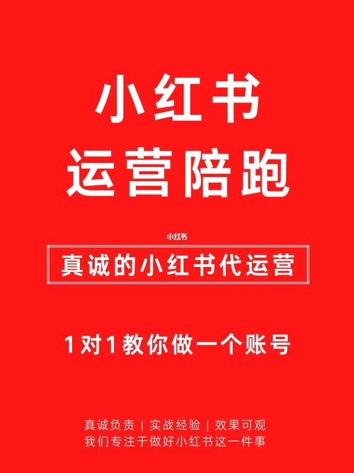 小红书陪跑营-系统课