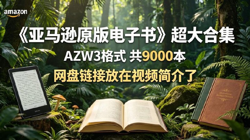 《亚马逊原版电子书》