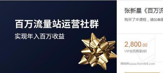 《百万流量站运营社群》