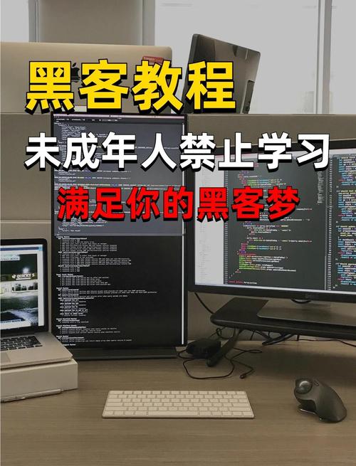 人人都能学会的编程入门课 极客