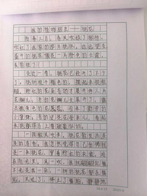 小学生优秀有声作文合集