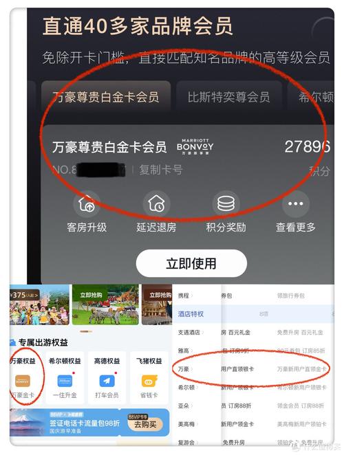 众筹：白金会社群年费会员