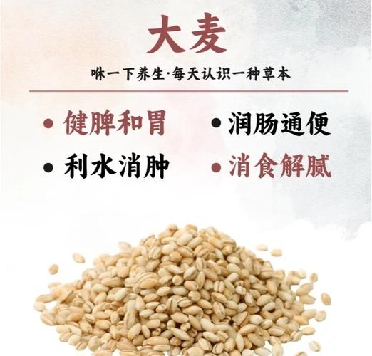 《可复制的直播操盘手模型》
