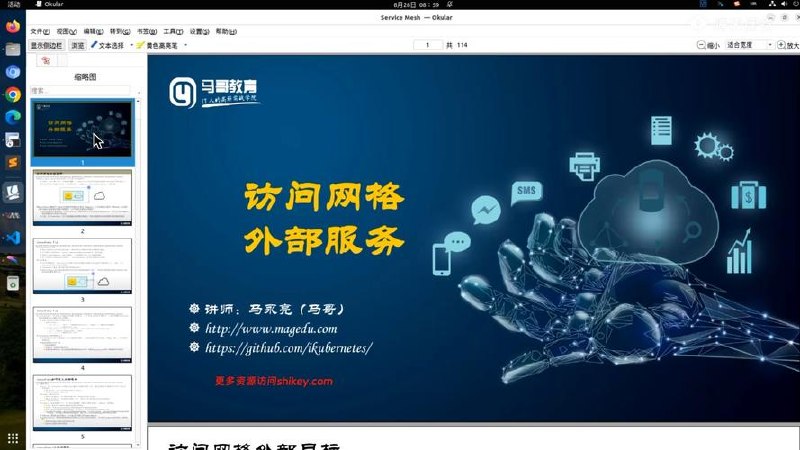 马哥教育 云原生-微服务治理大厂冲刺