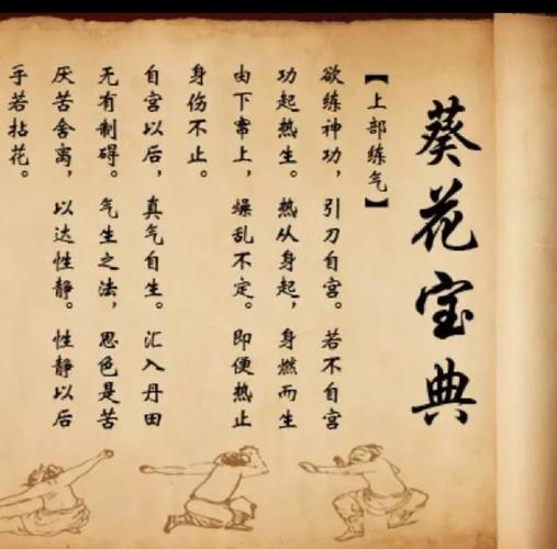 《赚钱社群系统运营葵花宝典》
