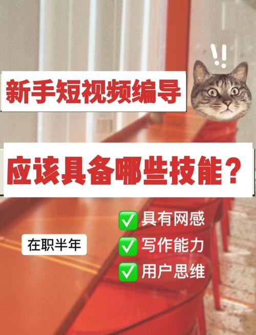 新媒体编导课，一步带你走进新媒体编导