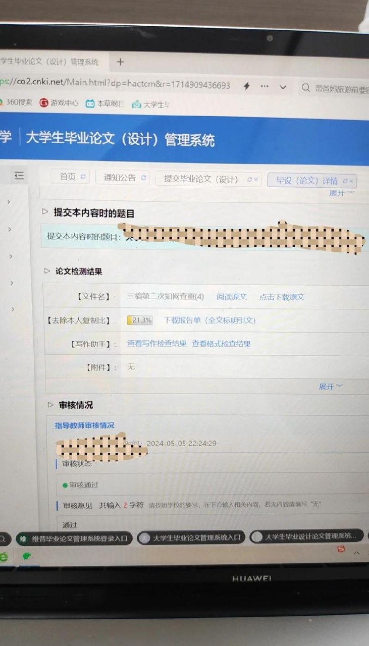 大学生毕业论文查重，暴利蓝海项目，月