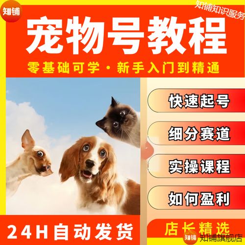 萌宠短视频快速起号流量课