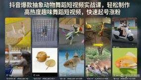 抽象动物舞蹈短视频，可快速起号涨粉*