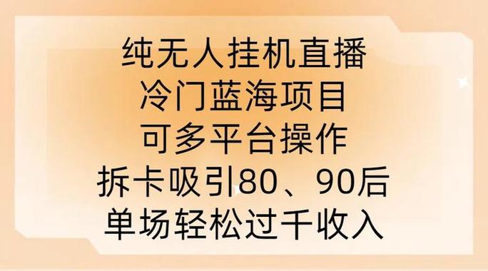 纯无人挂机直播，冷门蓝海项目，可多平
