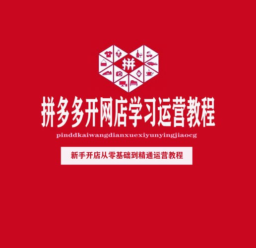 《拼多多纯推广起链接实战》