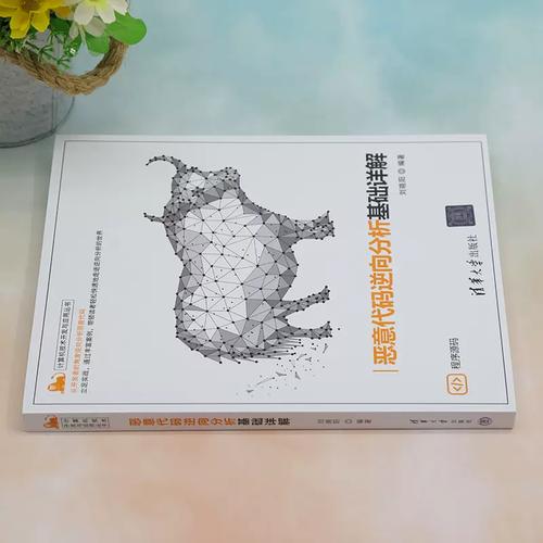 逆向工程与恶意代码分析
