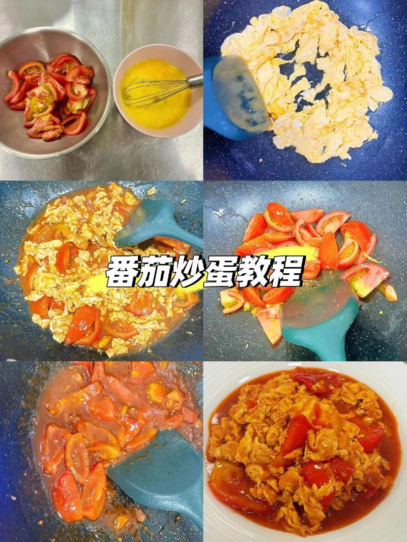 暴走番茄蛋-普通人做小红书的sop流