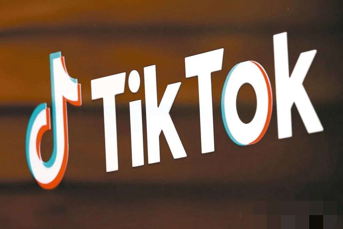 《TikTok全案短视频+独立站》