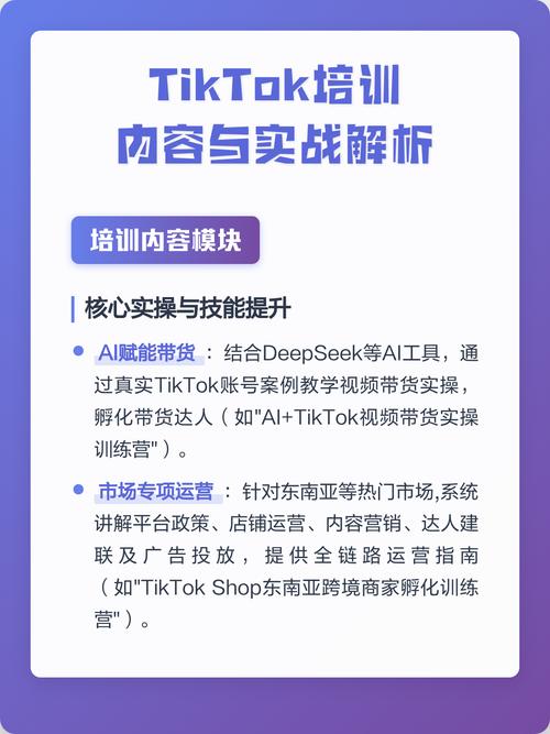 众筹：TikTok掘金特训营第四期*